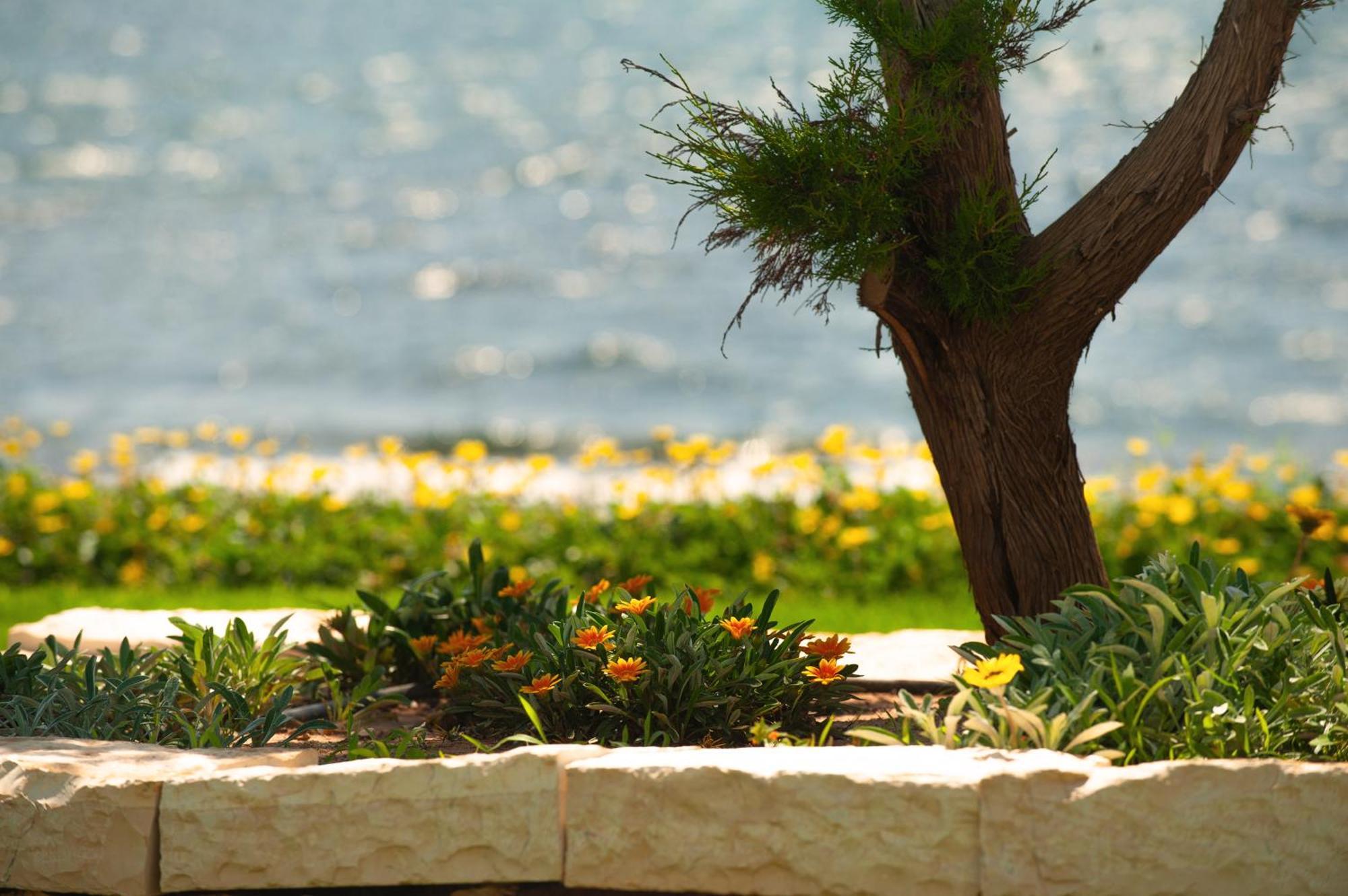 Theluxuryvillas เปรเวซา ภายนอก รูปภาพ